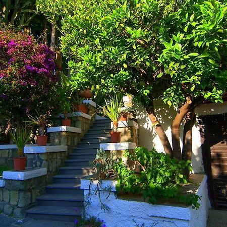 Hotel Terme Castaldi Forio (Isola d'Ischia) Exterior foto